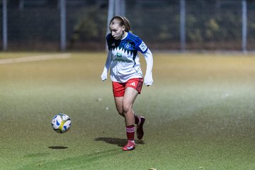 Bild 335 - F SC Alstertal-Langenhorn - Hamburger SV 3 : Ergebnis: 2:2